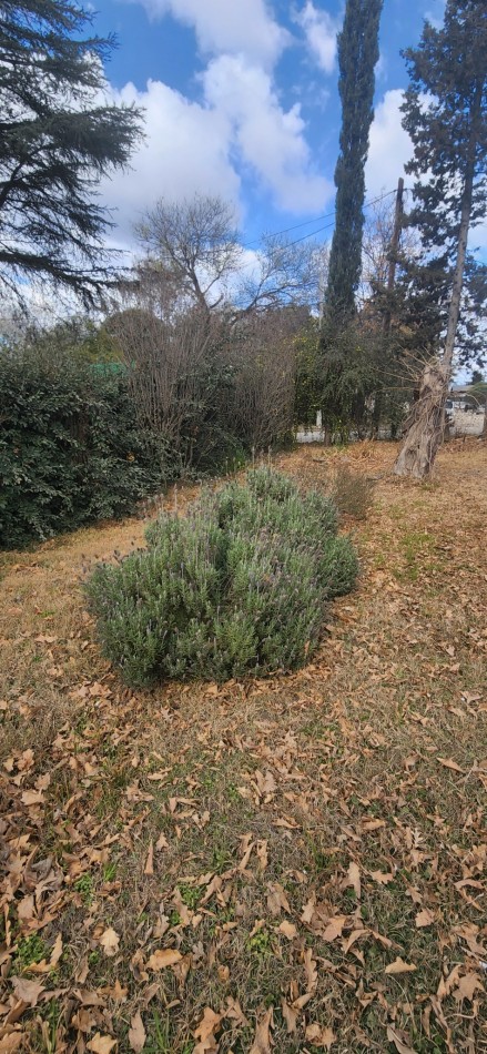 VENTA CASA 3 DORMITORIOS  ZONA CENTRO VILLA GENERAL BELGRANO A 100 MTS DE LA TERMINAL