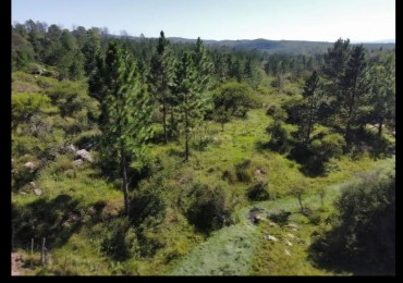 VENTA CAMPO FINANCIADO TOMA VEHICULO PROXIMO AL LAGO CERRO PELADO